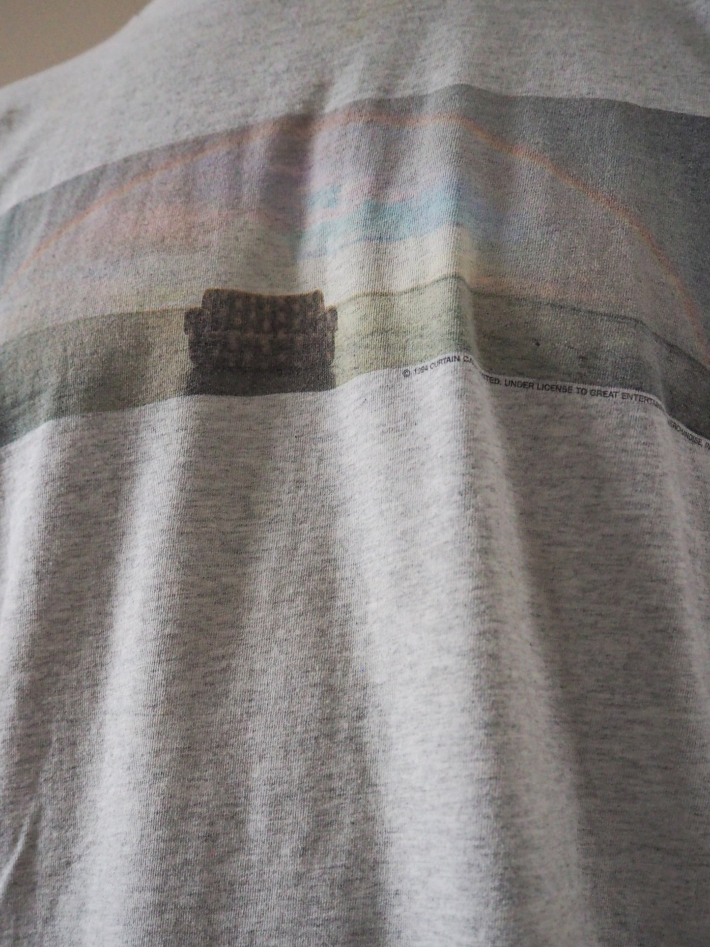 1994-95 The Cranberries “No Need to Argue” tour t-shirt